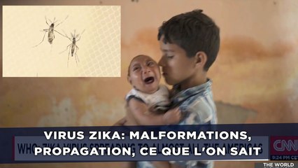 Virus zika: Malformations, propagation, ce que l'on sait
