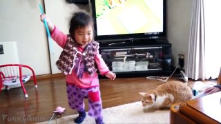 Funny Cats and Babies Playing Together Compilation
