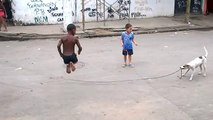 Amazing Dog playing jump rope with Kids