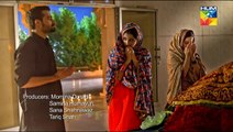 Mann Mayal  - New drama Serial -OST HUM TV Drama 2016