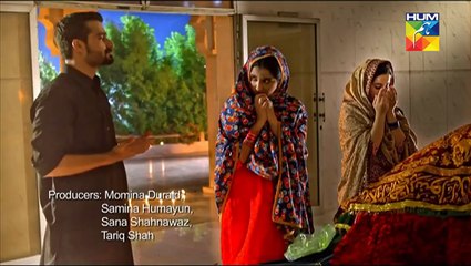 Mann Mayal  - New drama Serial -OST HUM TV Drama 2016