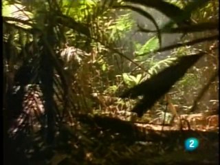 La voz de la evolución 1/3 (La revolución de Darwin)