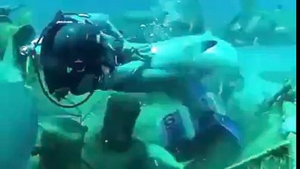 ستغفراللہ کبهی کبھی تجربے بھی انسان کی جان لے لیتے ہیں