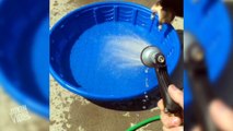 Corgi Puppies Wake Up in a Kiddie Pool