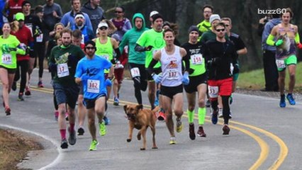 Dog steps out to take a leak, nearly wins half marathon instead