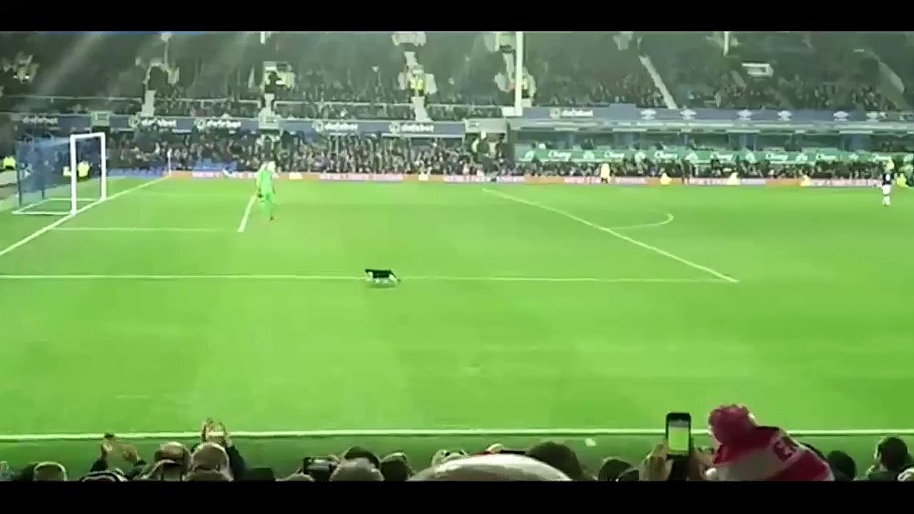 A Cat Interrupts Evertons FA Cup Win at Goodison