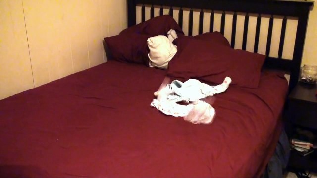 Dad's Getting His Twins Ready For Bed. Their Battle Has Mommy Rolling On The Floor In Laughter