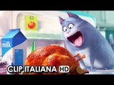 Pets - Vita da animali Clip Italiana 'Chloe' (2016) HD