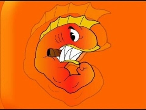 Fenomenos Extraños - Machotes