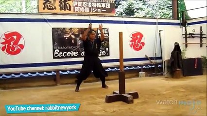 Top 5 Facts about Ninjas (FULL HD)