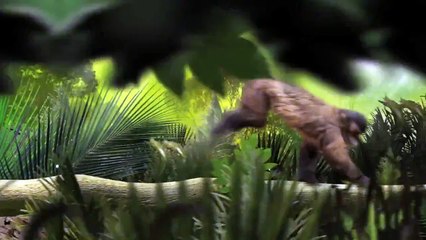 Wild Brutal Killers ( Nat Geo WILD )