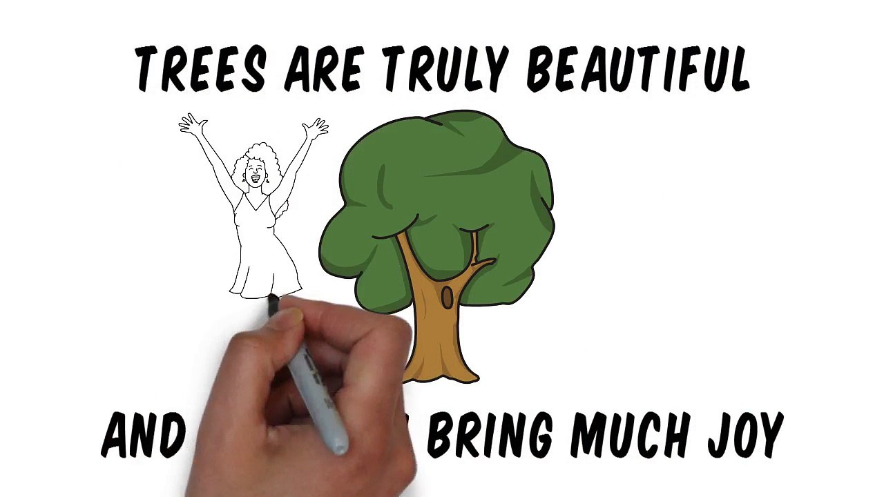 The Best Lewis Tree Service