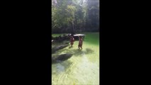 Manatees Swim Up to Girls Standing in River