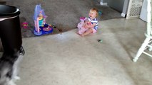 Toddler adorably entertained by puppy chewing bubble wrap