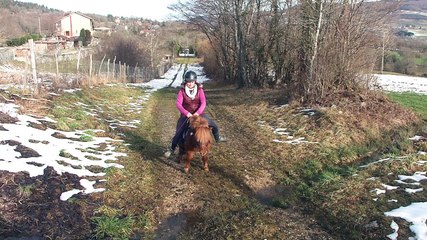 Passage d'un petit ruisseau à Poney