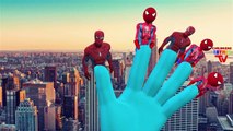 Spiderman Finger Family Songs | Frozen Batman Cartoons For Children Finger Family Nursery Rhymes