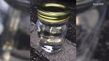 Three people in Florida tried to sell moonshine on Facebook. They were arrested.