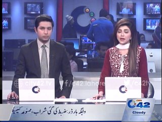 Spring Festival Gala in Safari Park