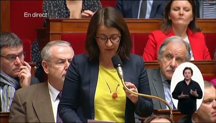 Notre-Dame-des-Landes : Duflot fustige "l'entêtement aveugle et vain" du gouvernement