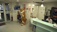Remi Gaillard-Animal planet