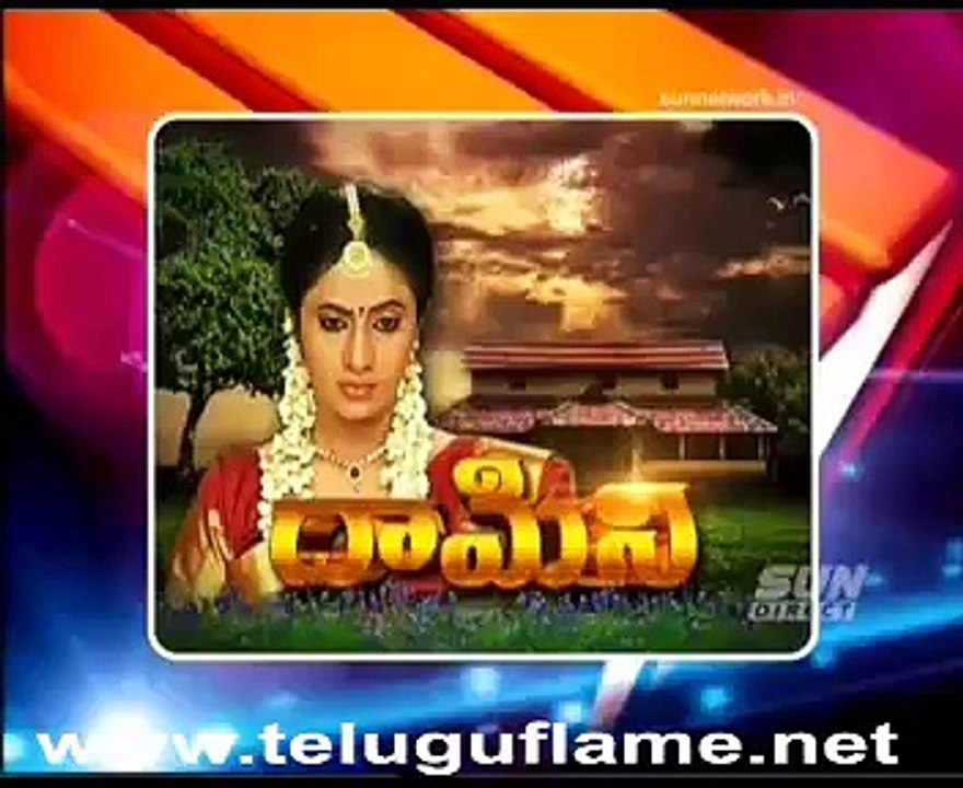 Damini (1)