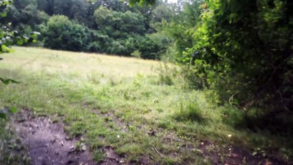 Hoia Baciu Forest - The Notorious Circle