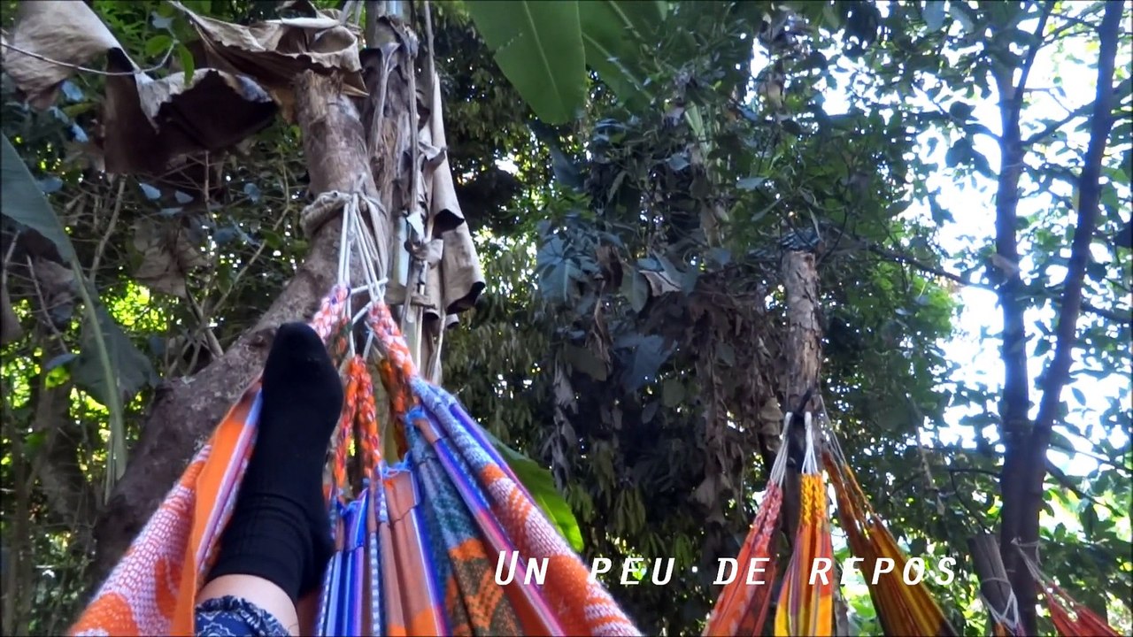 Excursion au Machu Picchu