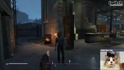 Kitty meets Dogmeat from Fallout 4