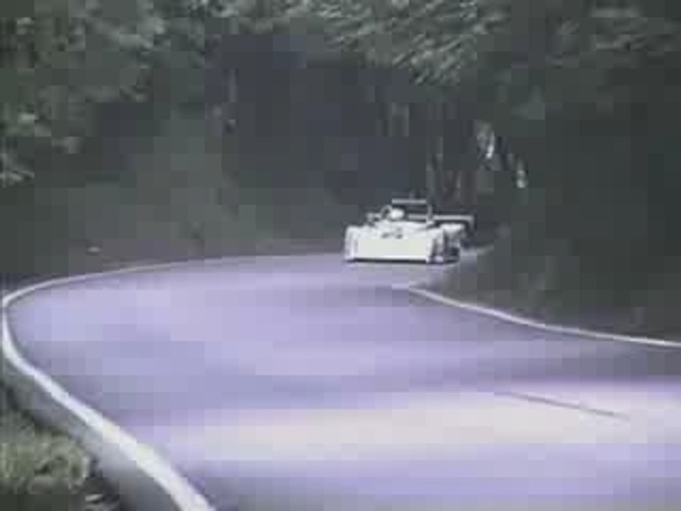 Voiture Vs Chevreuil