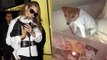 Mariah Carey's Two Dogs Only Fly First Class