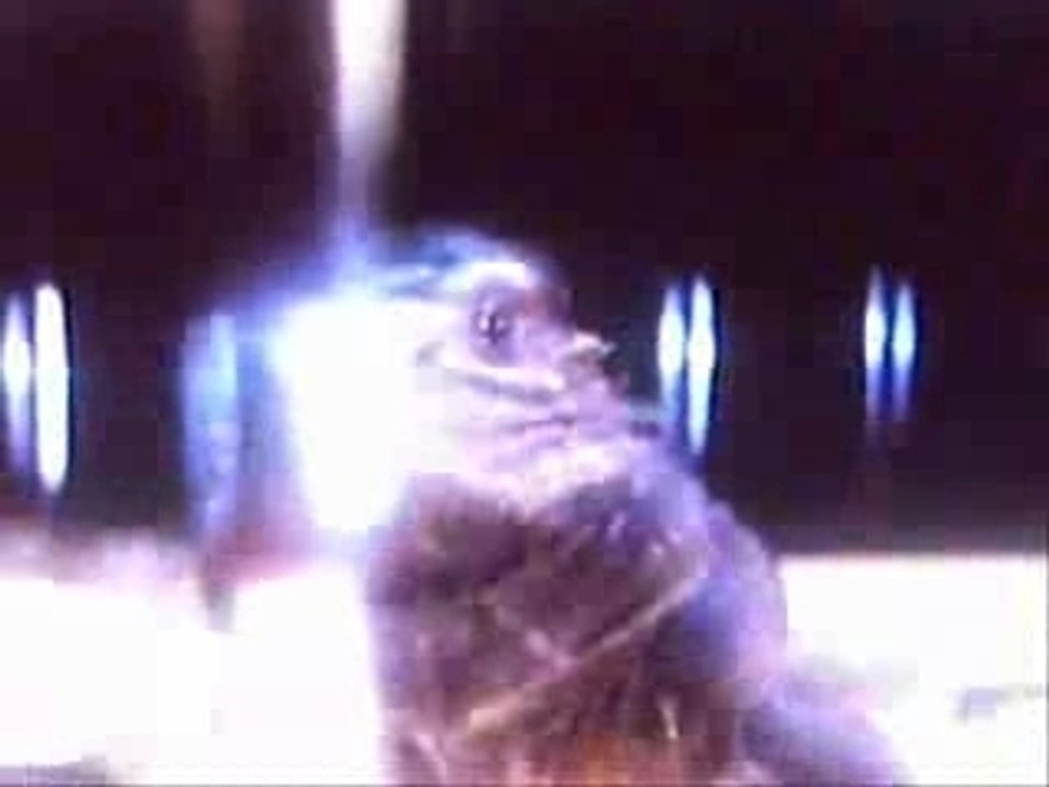Mr. Mister - Hunts Of The Night