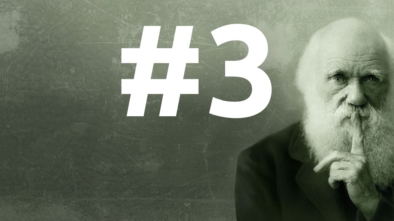 SLEDD #3 du 18 Septembre 2010, Nos mémoires