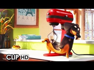 Meet Buddy from 'The Secret Life Of Pets' (2016) HD