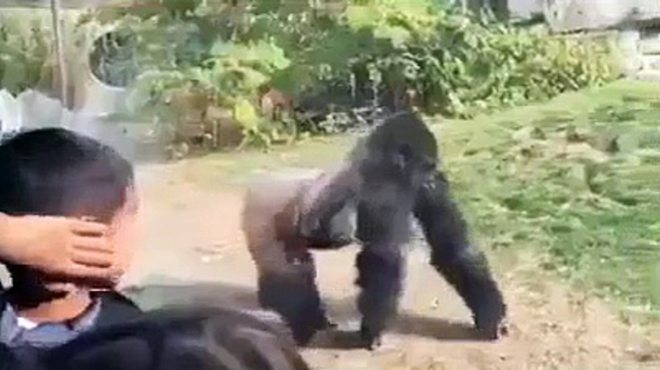 Titans fight