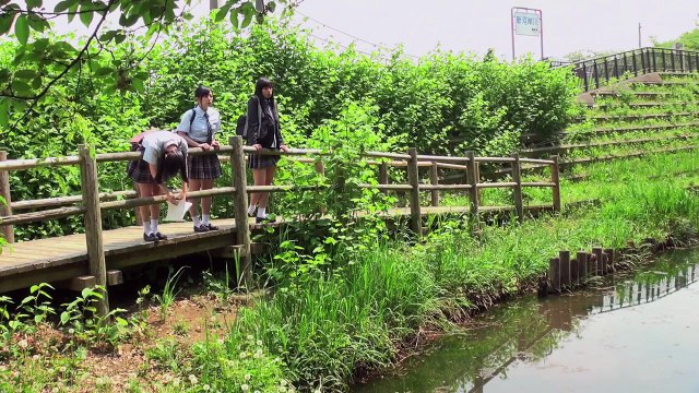 Kawaii Kiss (Kinema junjô) theatrical trailer - Noboru Iguchi-directed movie