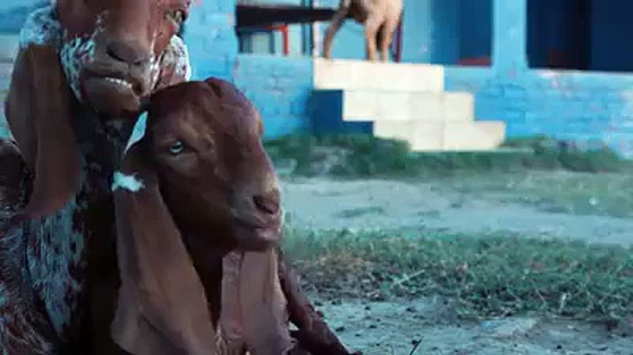 Bakra EID Video..... Funny