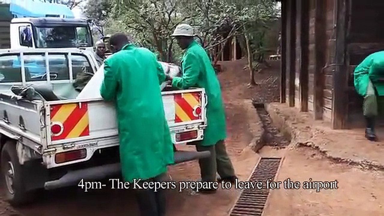 The Rescue of Kithaka