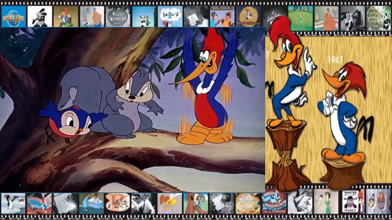 PICA PAU 1  BIRUTA