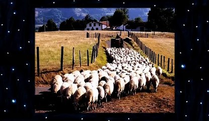 David Icke : Beyond The Cutting Edge - Part 6