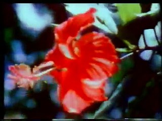 العلم والإيمان  الحلقة 2