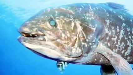 Weird Or What - S01 E02 - Fishing Trawler Vanishes [HQ]