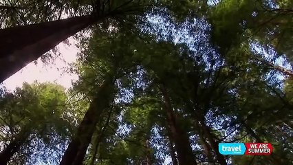 Monumental Mysteries S01E03 Smoky the Yorkie