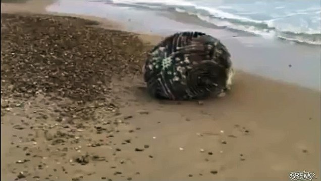 Цунами вынесло на берег Японии невиданный объект