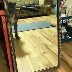 Clap your ears if you're happy!