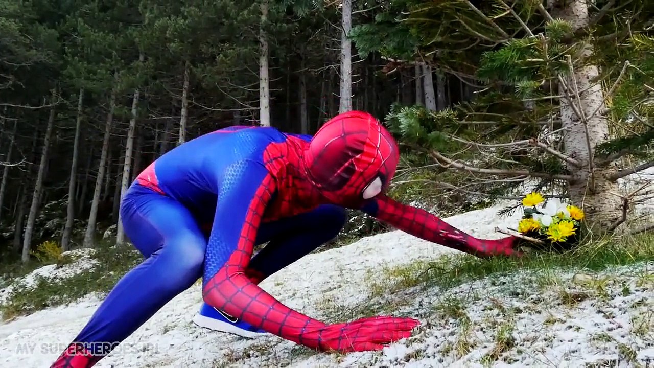 Spiderman vs Frozen Elsa vs Joker in Real Life - Elsa Kidnapped Superhero Movie