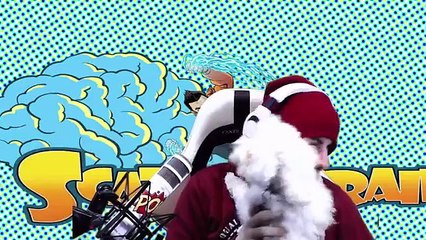 Tilly The Bichon Frise Being A BOSS!!