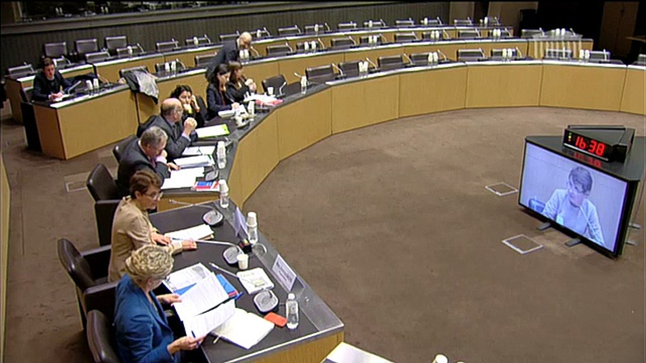 Jean-Marc Jancovici et Alain Grandjean, "Offre automobile française", Commissions, Assemblée nationale, 26 janvier 2016, 1 de 2