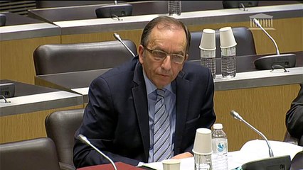 Jean-Marc Jancovici et Alain Grandjean, "Offre automobile française", Commissions, Assemblée nationale, 26 janvier 2016, 2 de 2