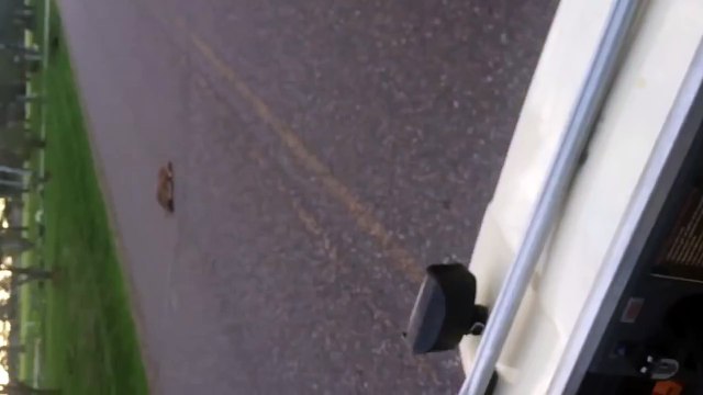 Faith In Humanity, RESTORED!