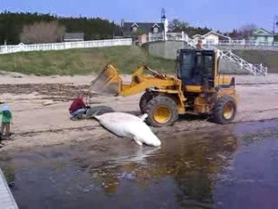 Extrait - Il est venu nous dire....
